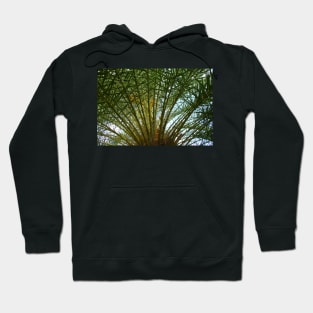 Aitutaki Palm Fronds Hoodie